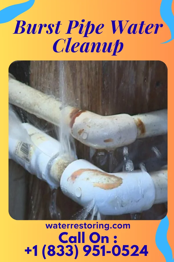 Burst Pipe Water Cleanup in San Miguel, AZ